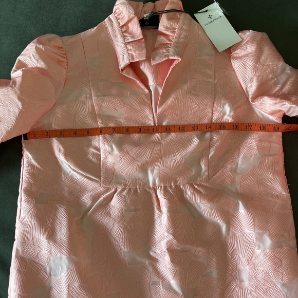 NWT Tuckernuck Bellini Pink Fil Coupe Palmerston party dress S - Picture 13 of 15